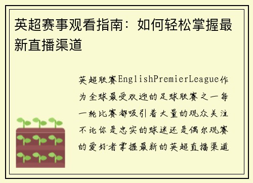 英超赛事观看指南：如何轻松掌握最新直播渠道